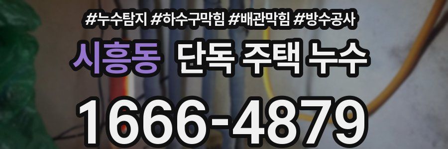 시흥동 단독 주택 누수