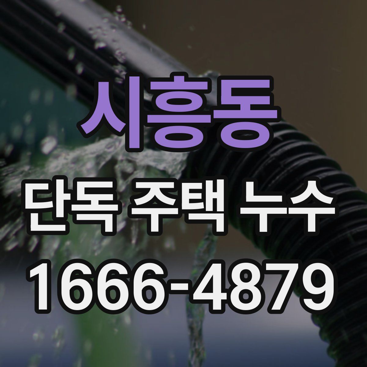 시흥동 단독 주택 누수