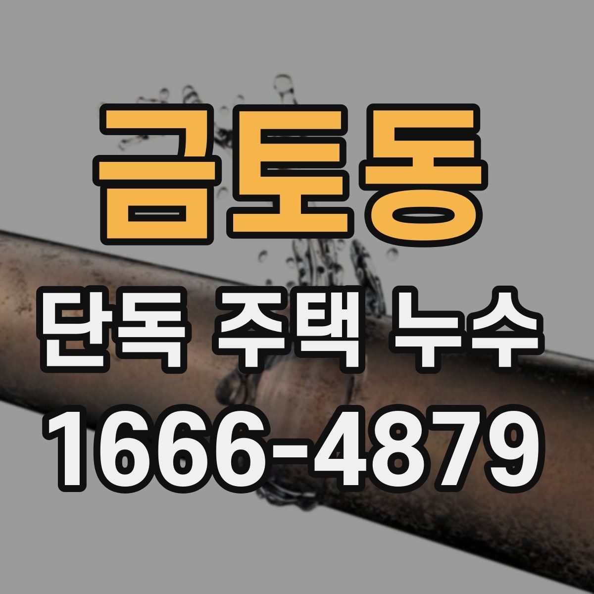 금토동 단독 주택 누수