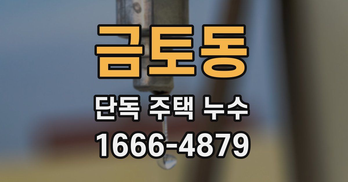 금토동 단독 주택 누수