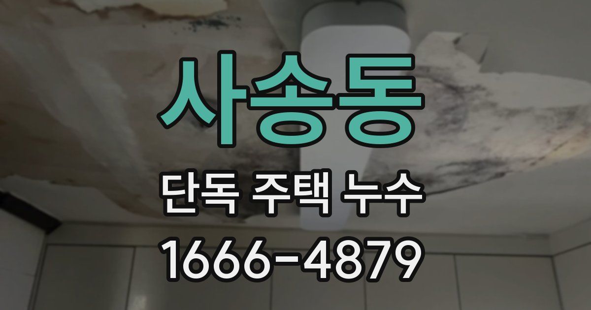 사송동 단독 주택 누수