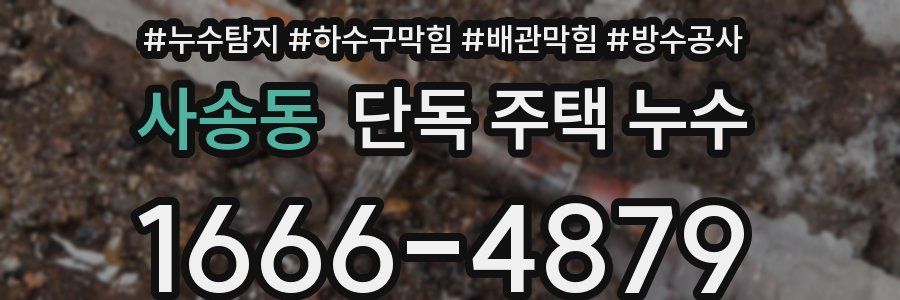 사송동 단독 주택 누수