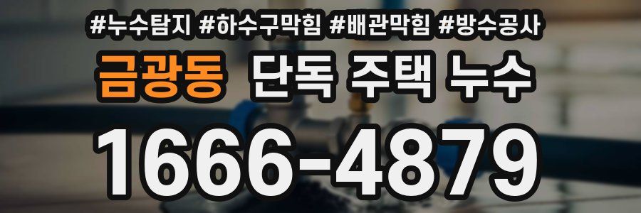 금광동 단독 주택 누수