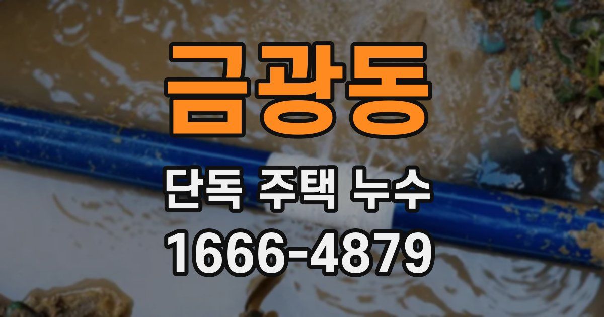 금광동 단독 주택 누수