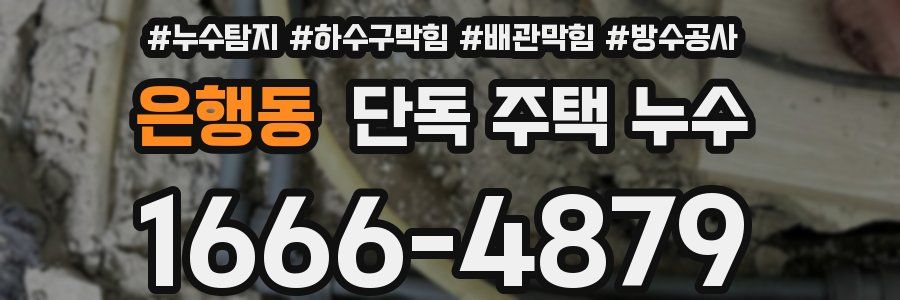 은행동 단독 주택 누수