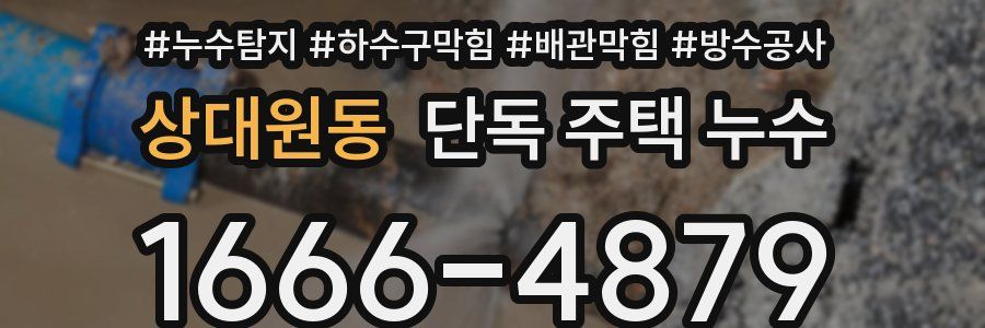 상대원동 단독 주택 누수