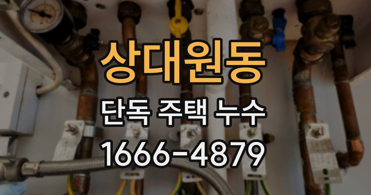 상대원동 단독 주택 누수