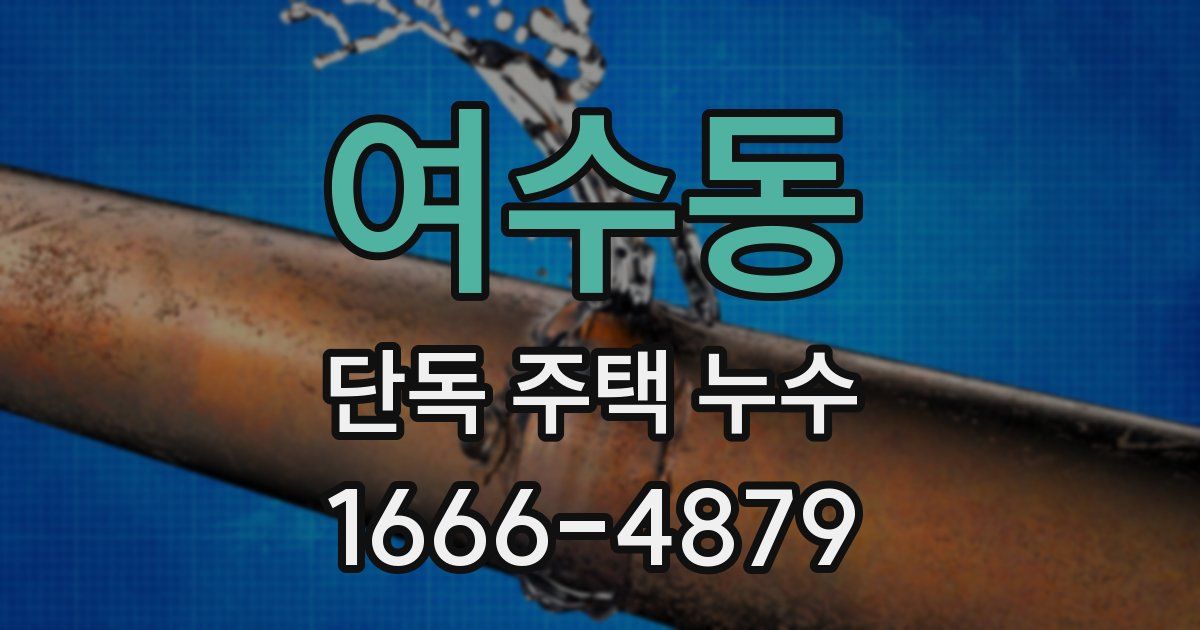 여수동 단독 주택 누수