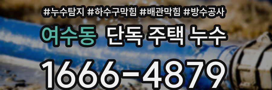 여수동 단독 주택 누수