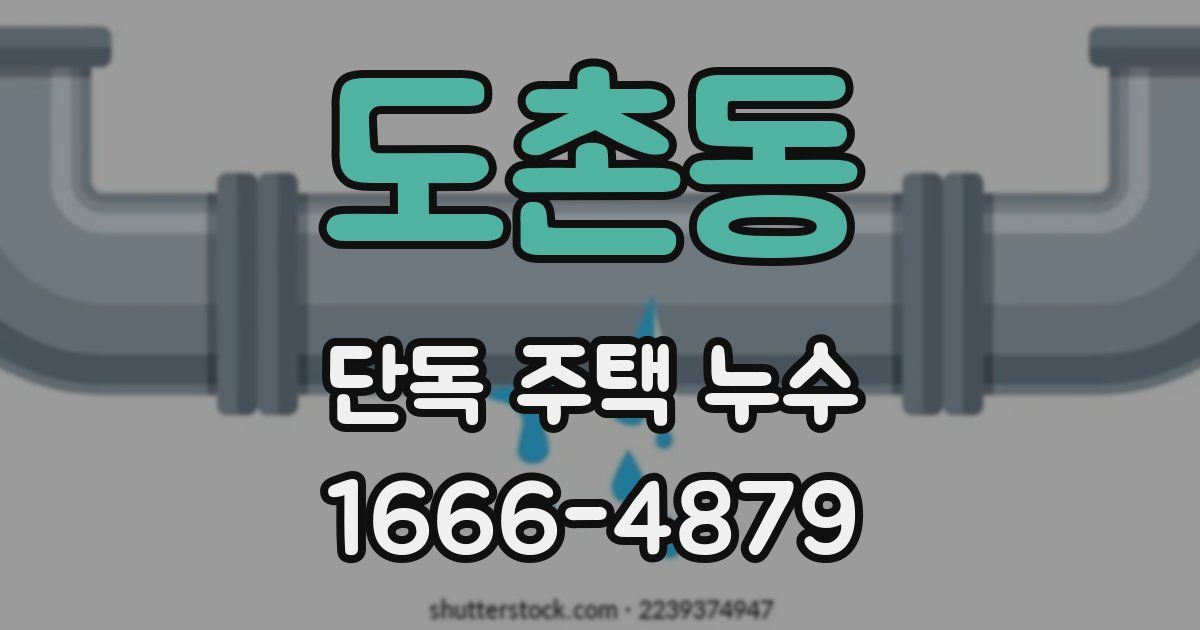 도촌동 단독 주택 누수