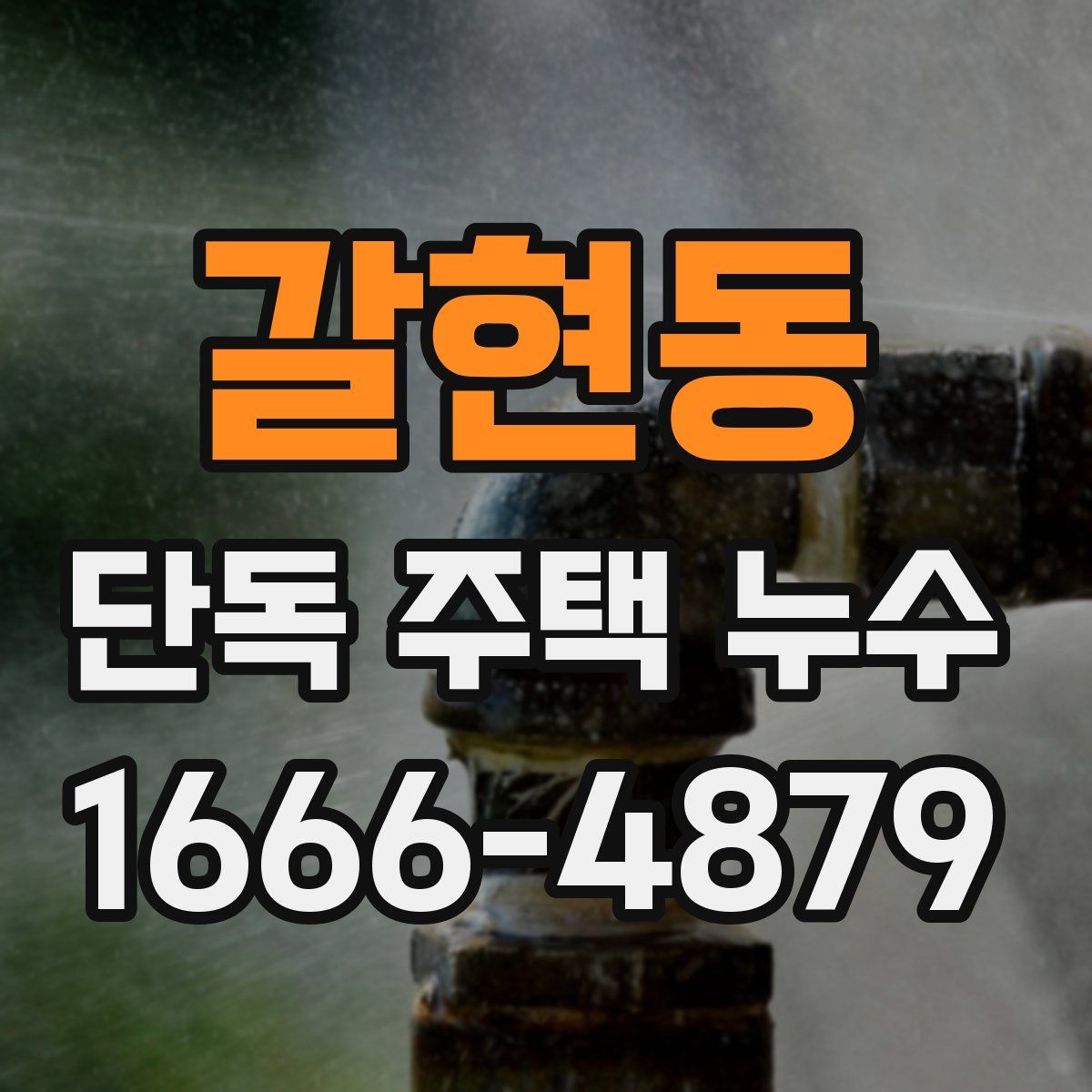 갈현동 단독 주택 누수