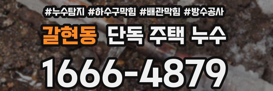 갈현동 단독 주택 누수
