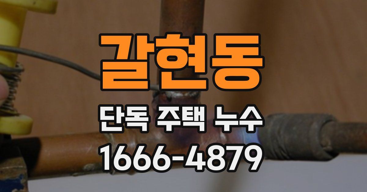 갈현동 단독 주택 누수