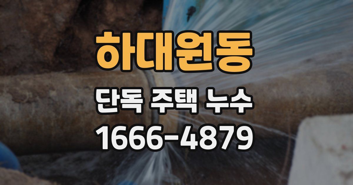 하대원동 단독 주택 누수
