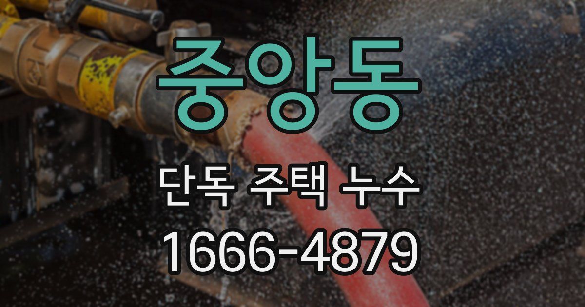 중앙동 단독 주택 누수