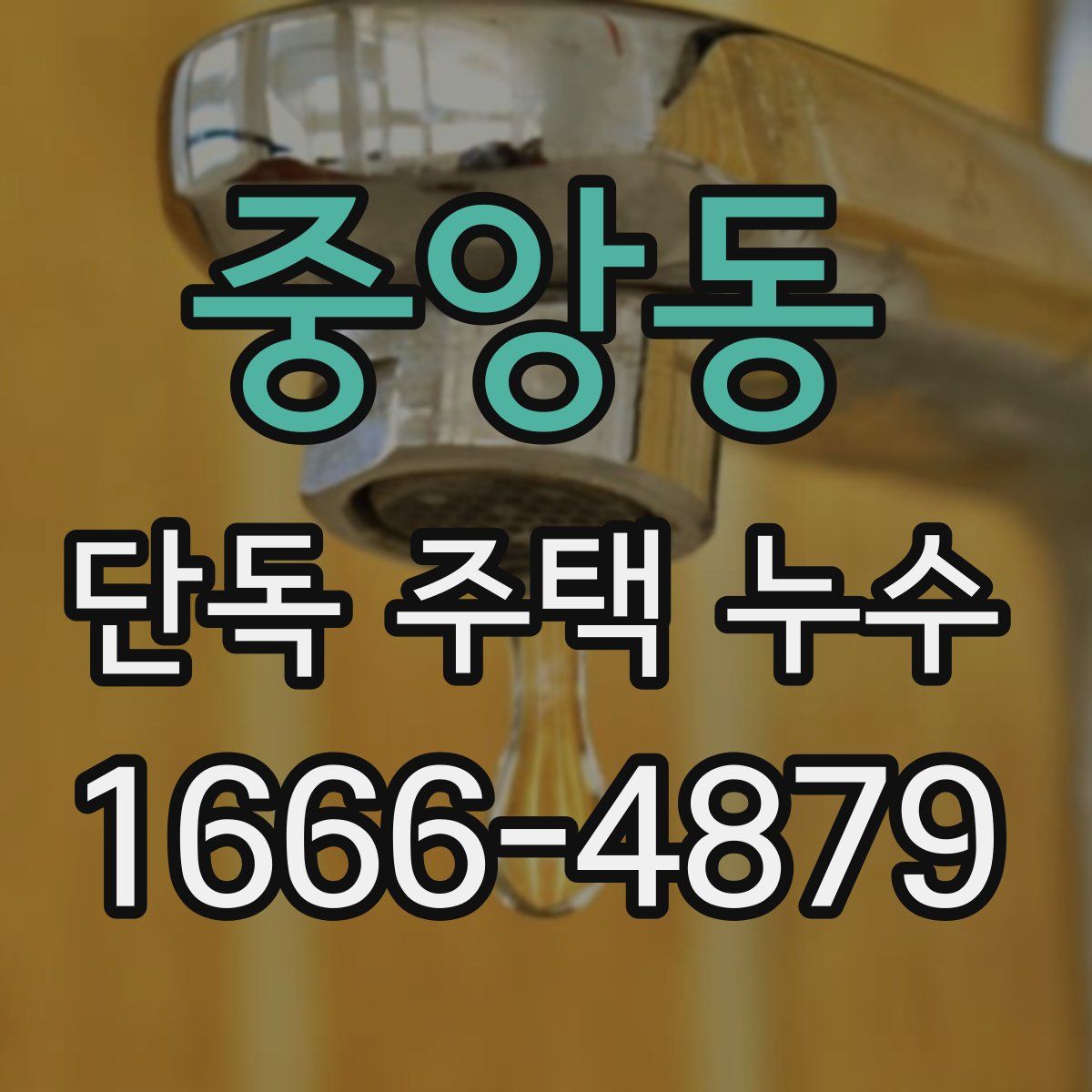 중앙동 단독 주택 누수