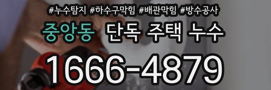 중앙동 단독 주택 누수