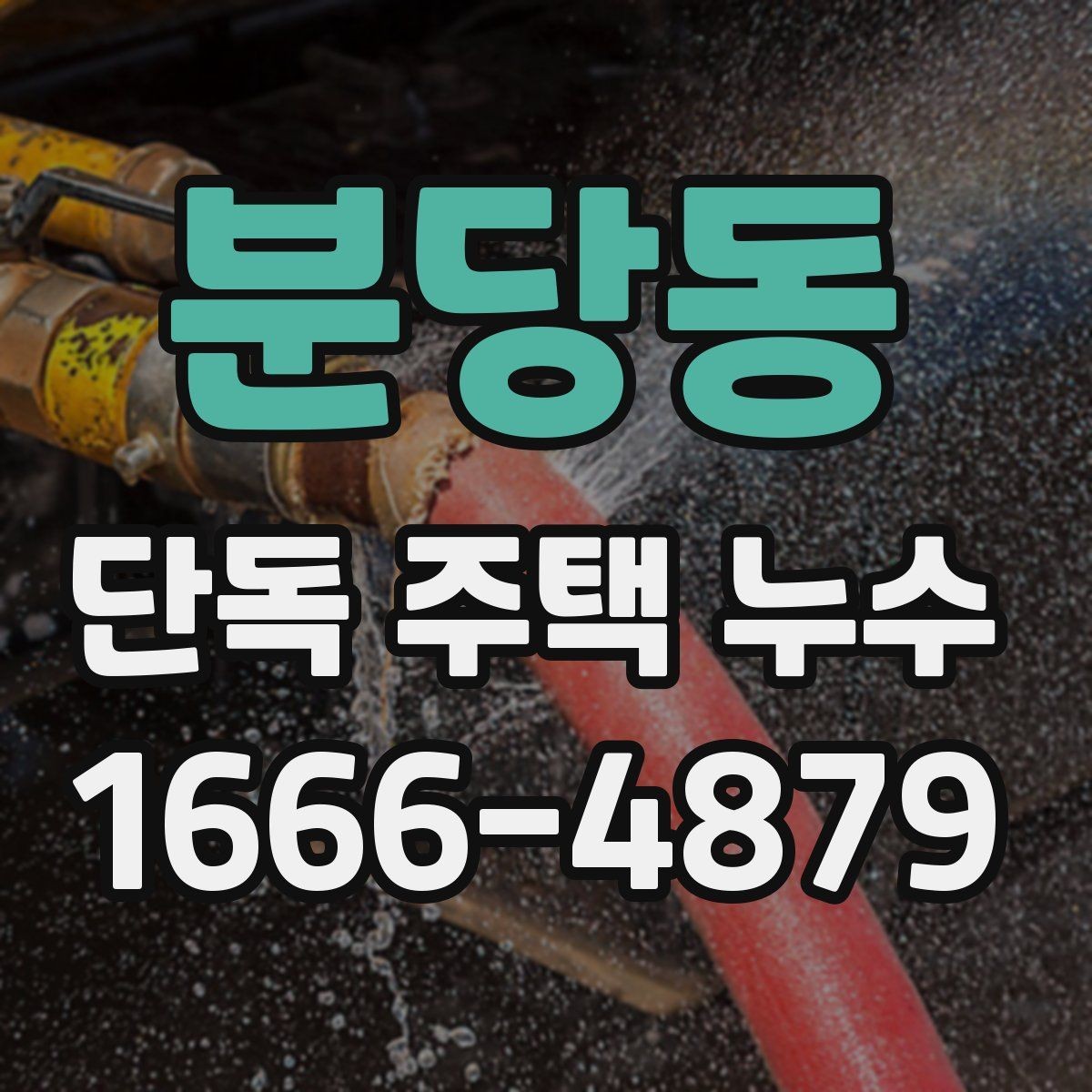 분당동 단독 주택 누수 진단이 늦어지면 생기는 일