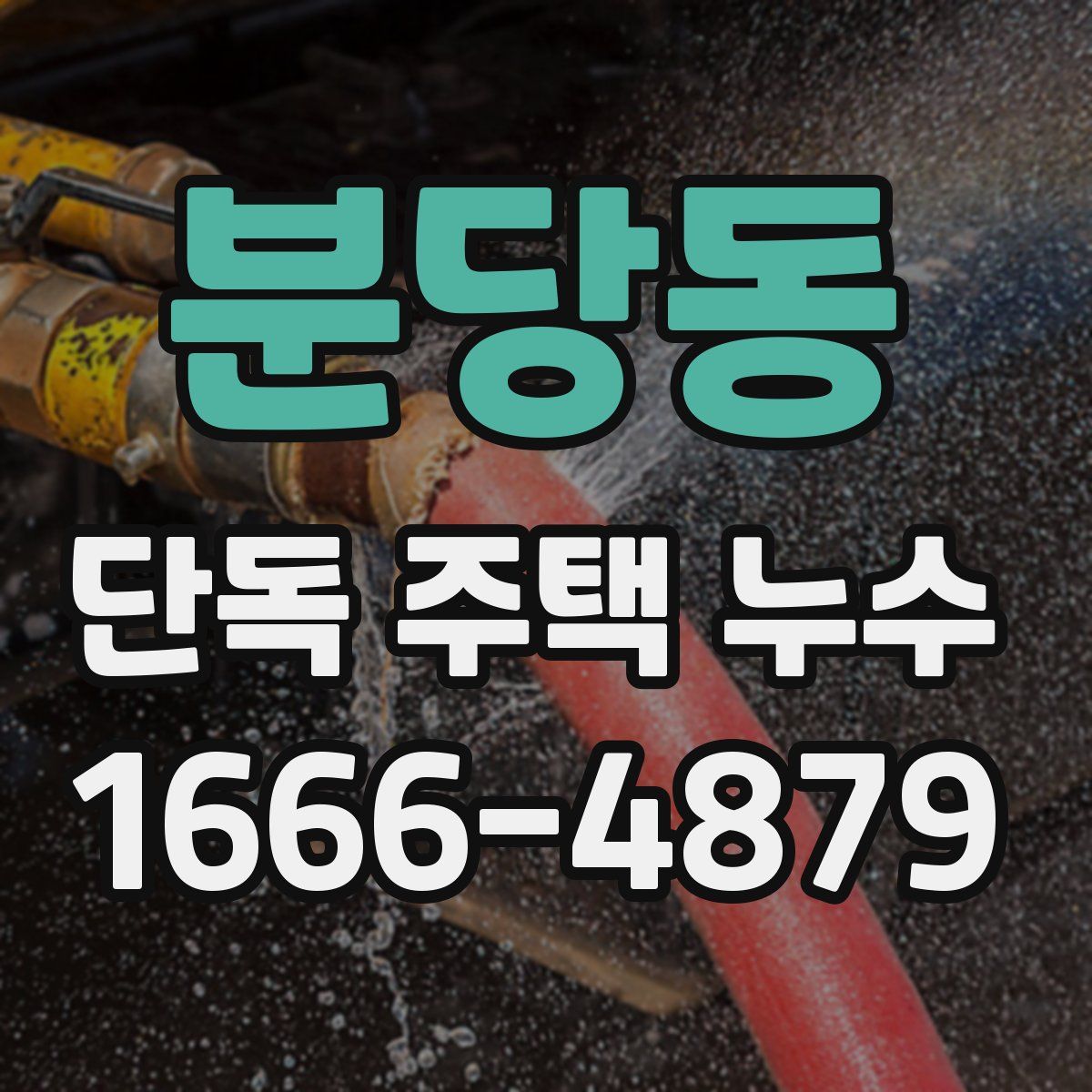 분당동 단독 주택 누수