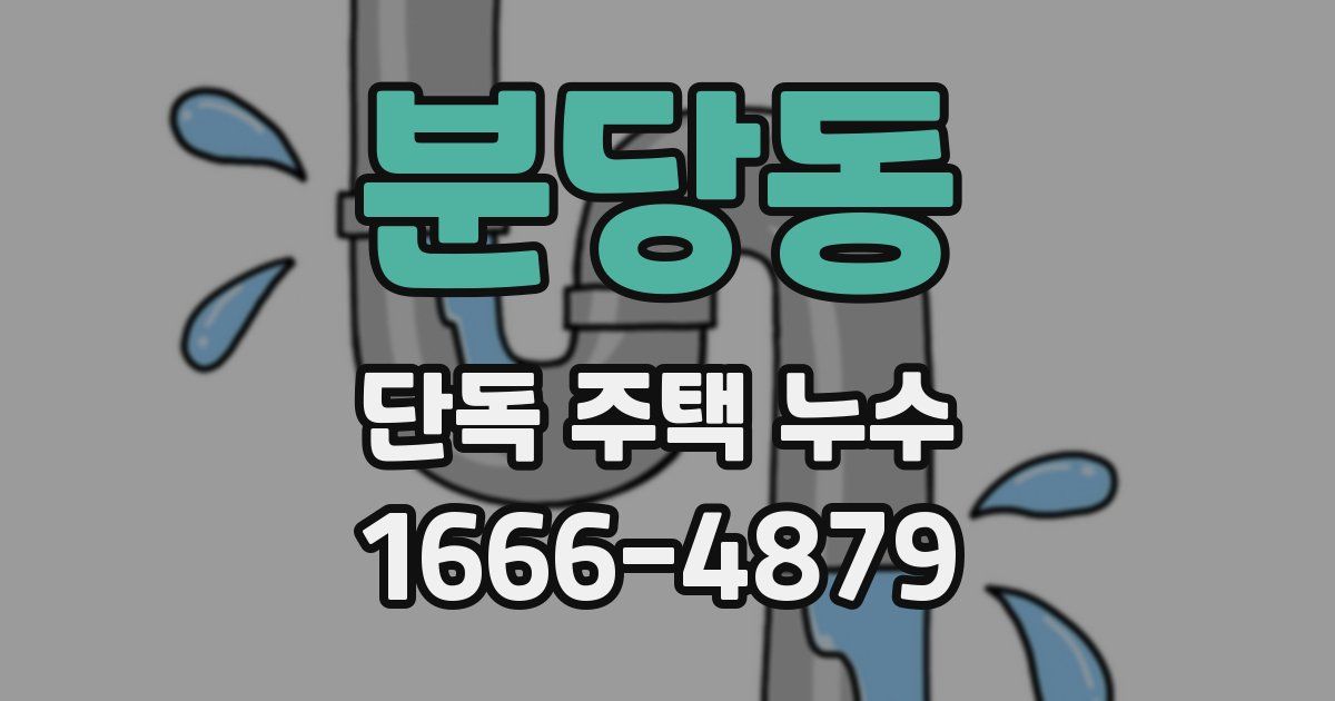 분당동 단독 주택 누수