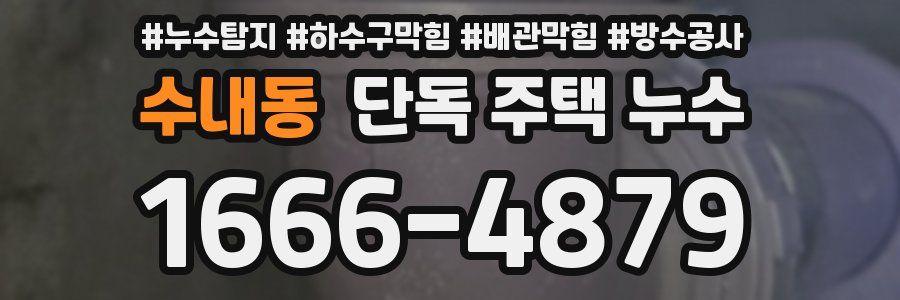 수내동 단독 주택 누수