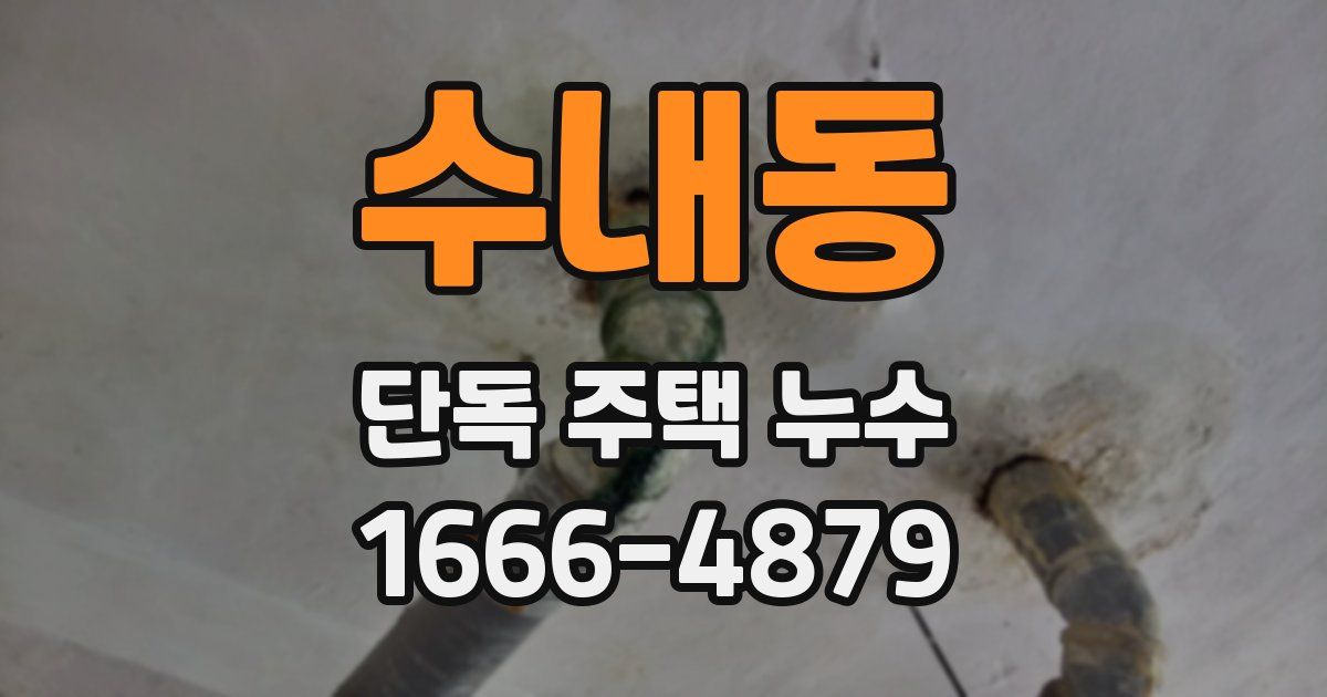 수내동 단독 주택 누수