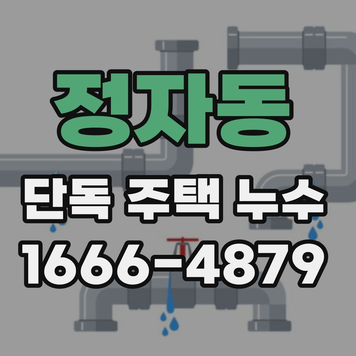정자동 단독 주택 누수