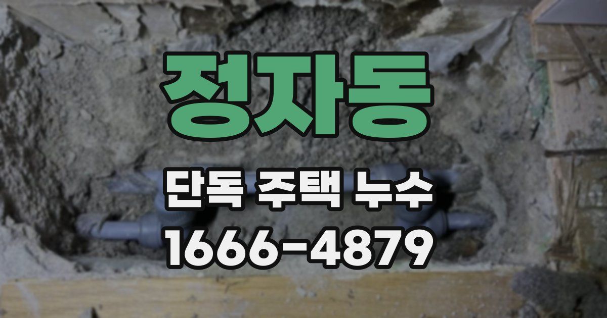 정자동 단독 주택 누수