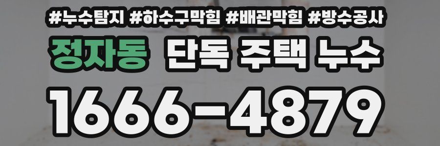 정자동 단독 주택 누수