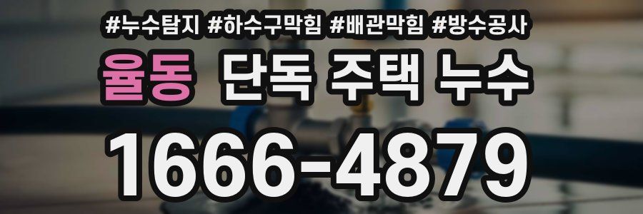 율동 단독 주택 누수