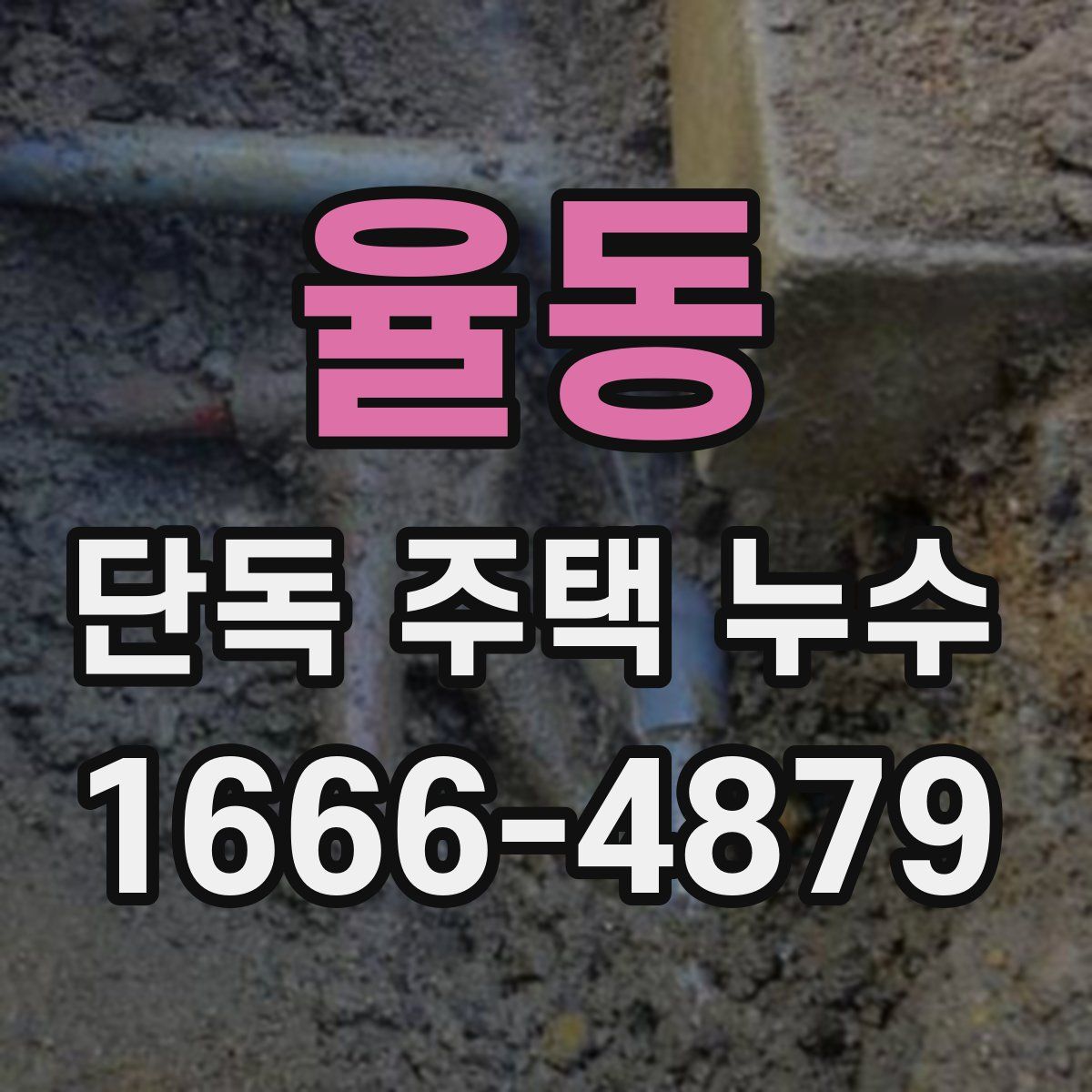 율동 단독 주택 누수