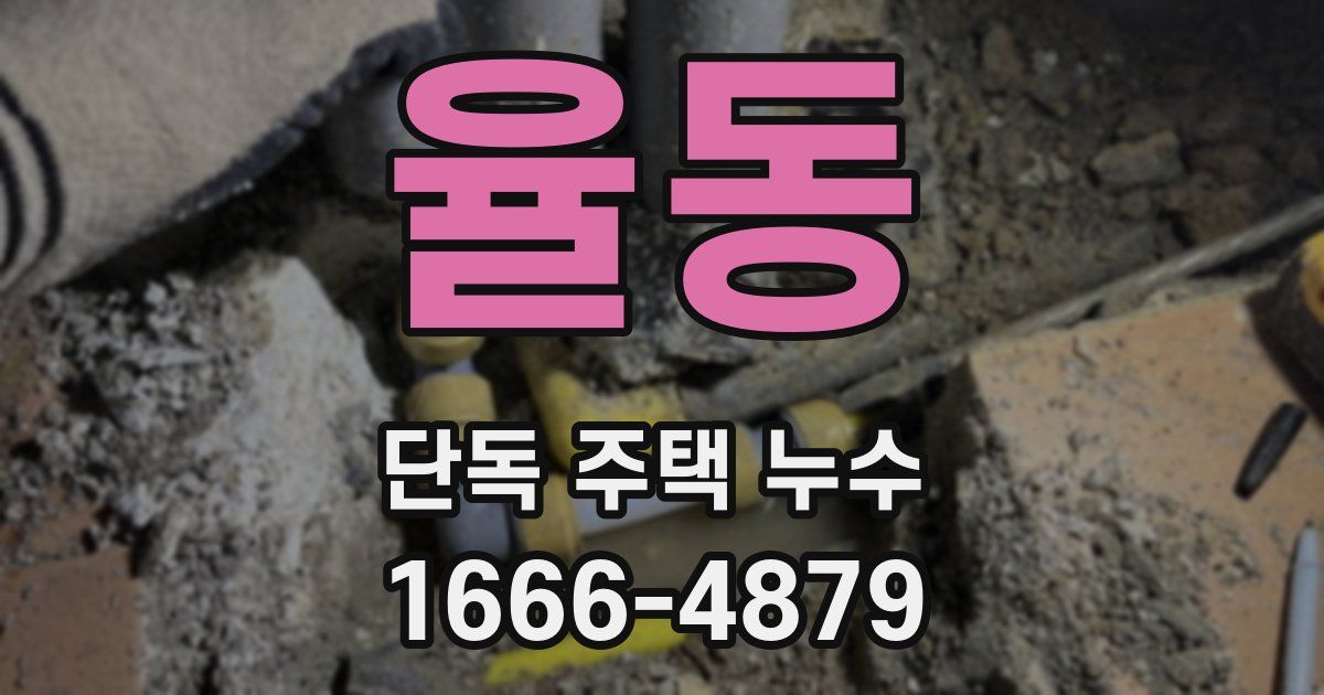 율동 단독 주택 누수