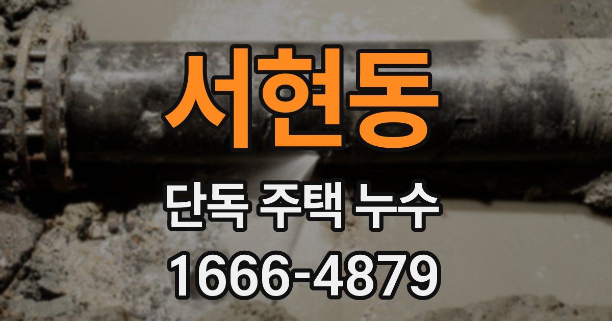 서현동 단독 주택 누수