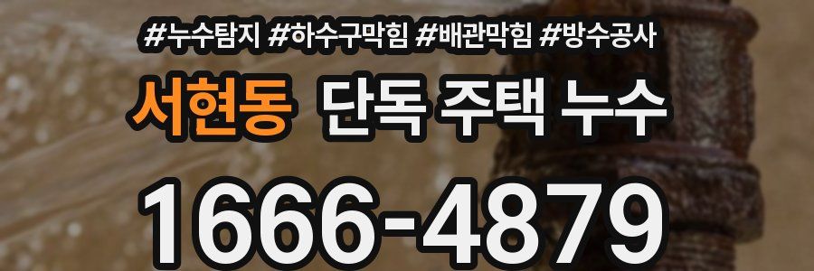 서현동 단독 주택 누수