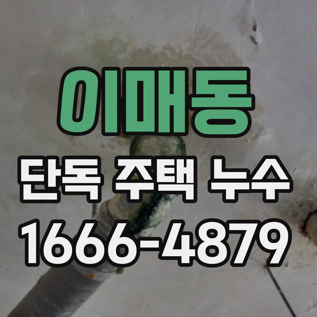 이매동 단독 주택 누수