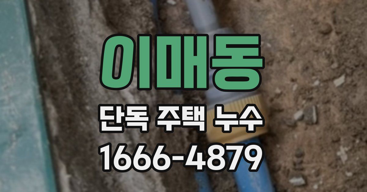 이매동 단독 주택 누수