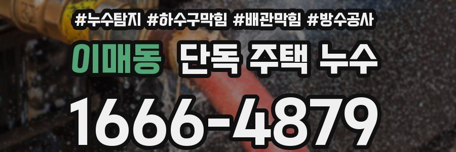 이매동 단독 주택 누수