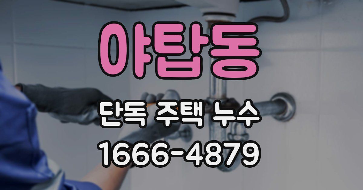 야탑동 단독 주택 누수