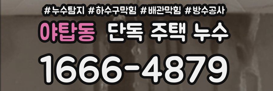 야탑동 단독 주택 누수