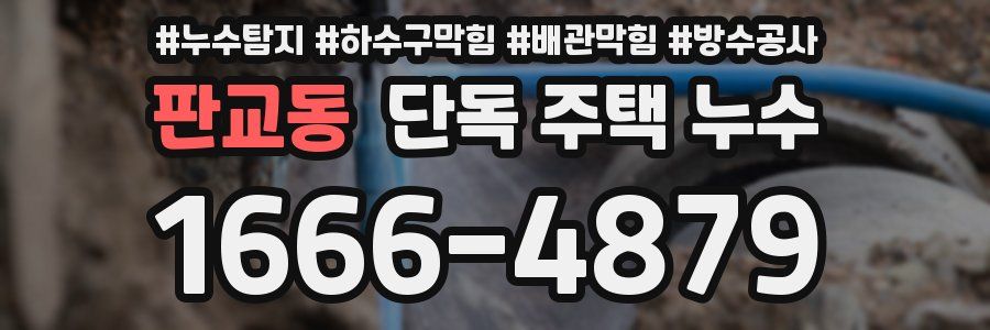 판교동 단독 주택 누수