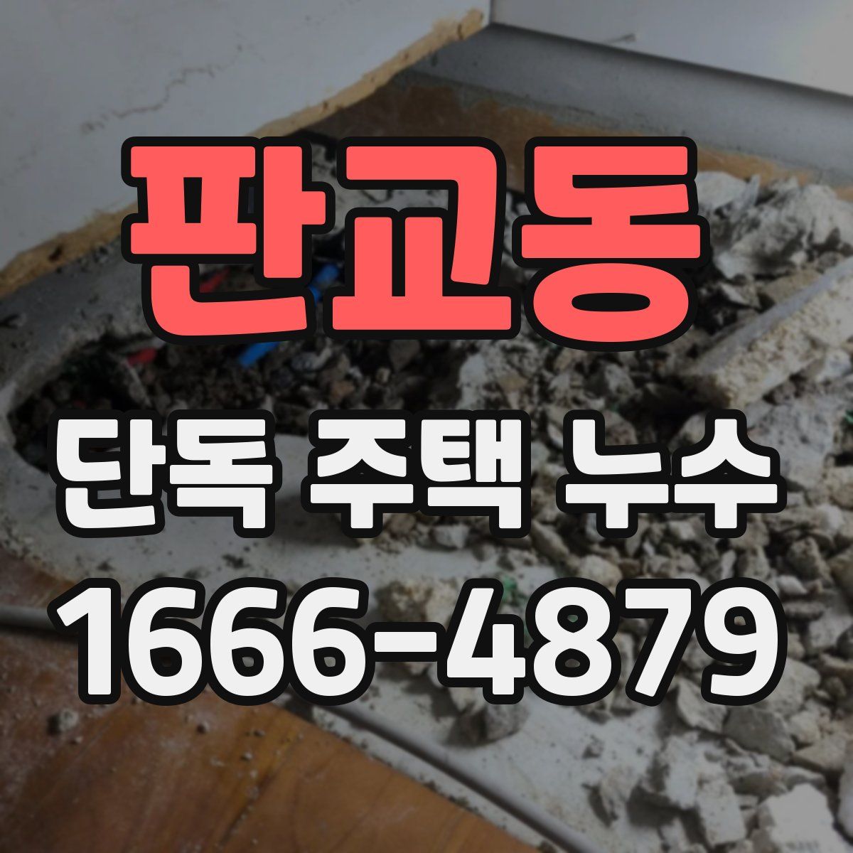 판교동 단독 주택 누수