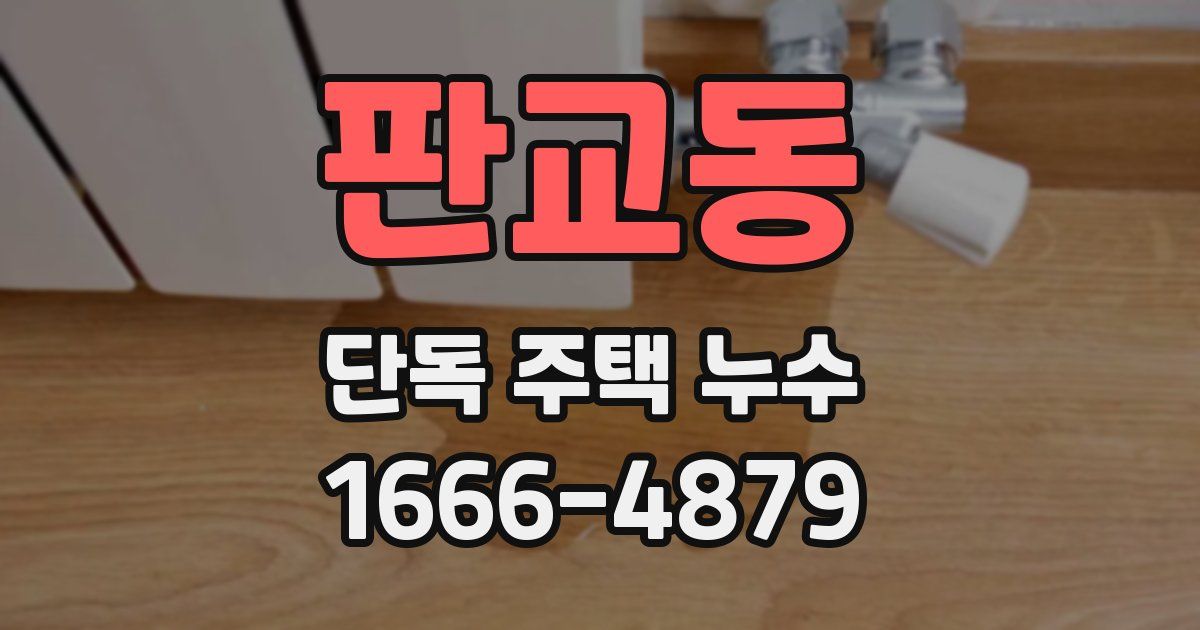 판교동 단독 주택 누수