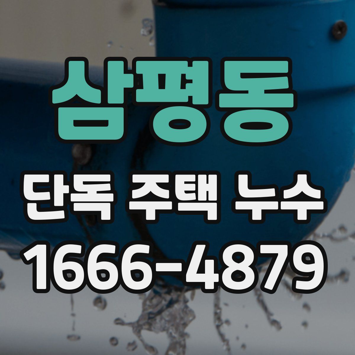 삼평동 단독 주택 누수