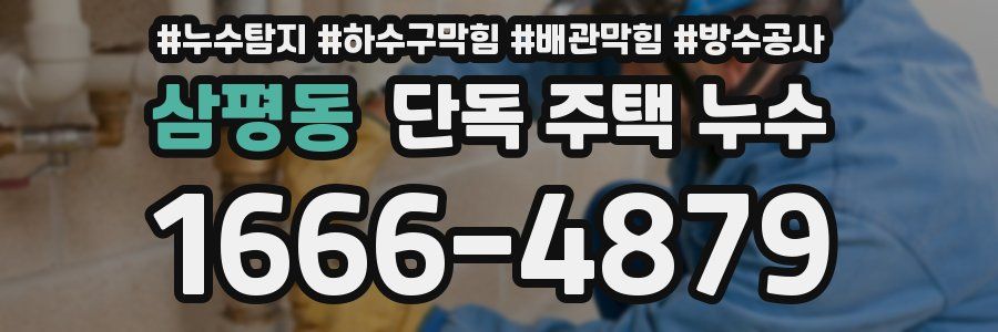삼평동 단독 주택 누수