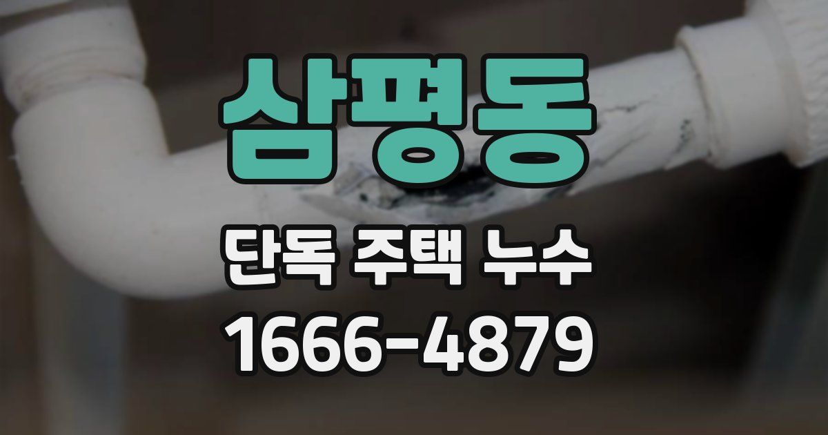 삼평동 단독 주택 누수