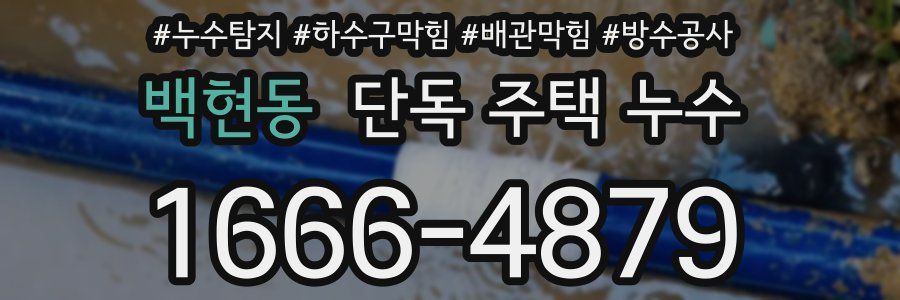 백현동 단독 주택 누수