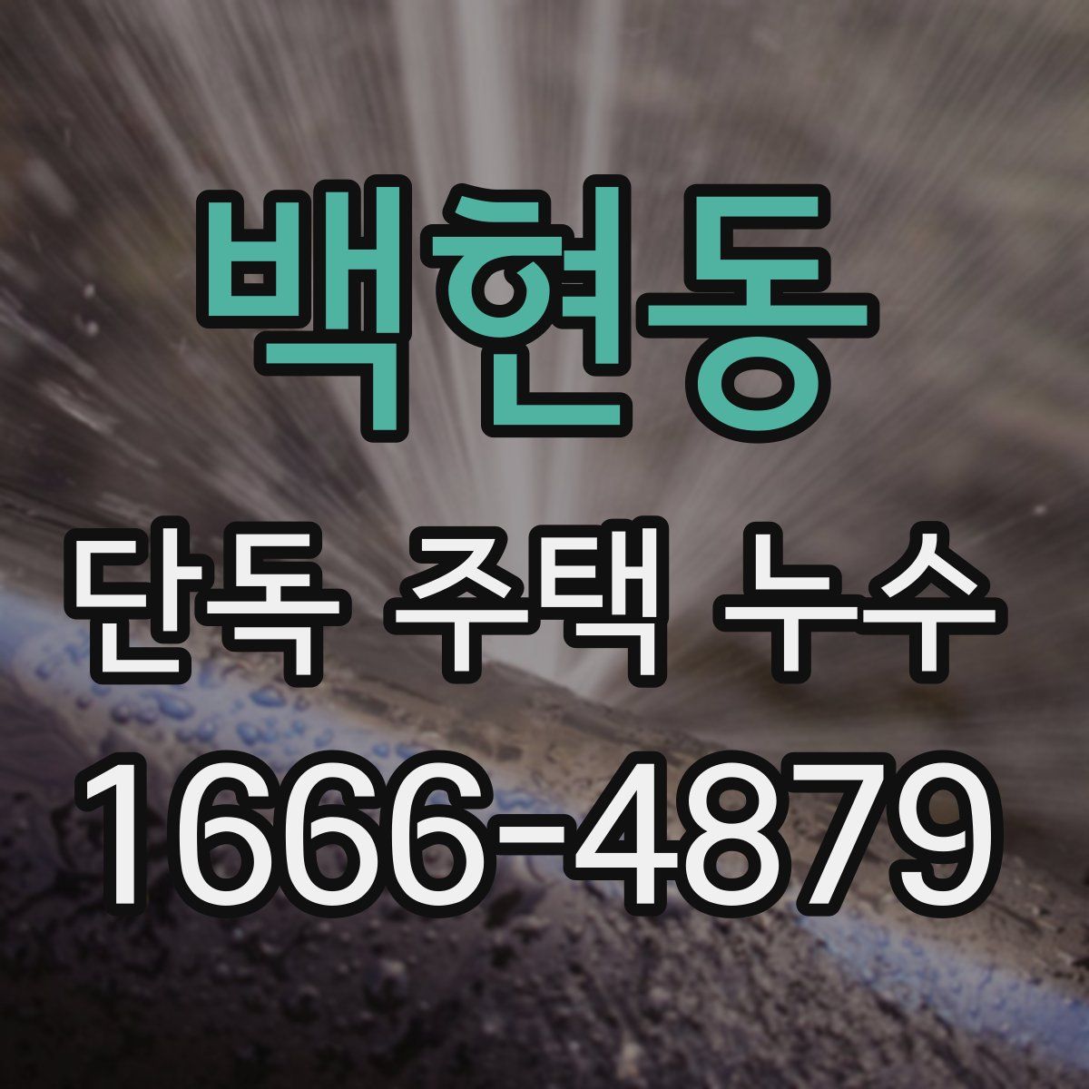 백현동 단독 주택 누수