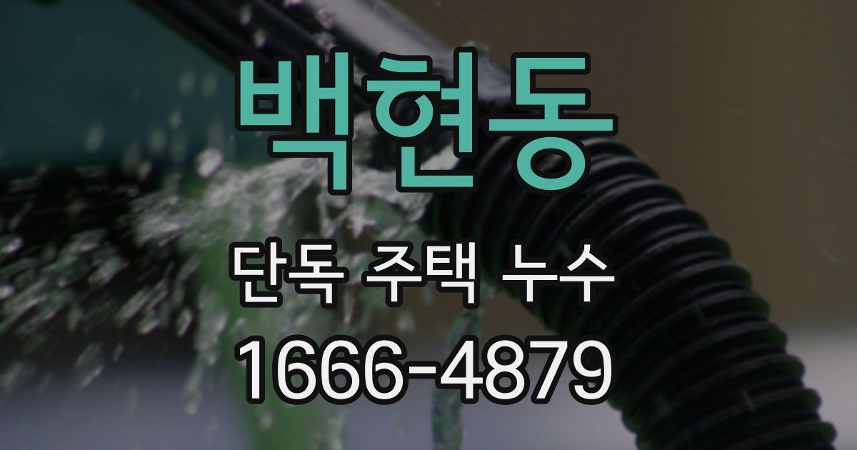 백현동 단독 주택 누수