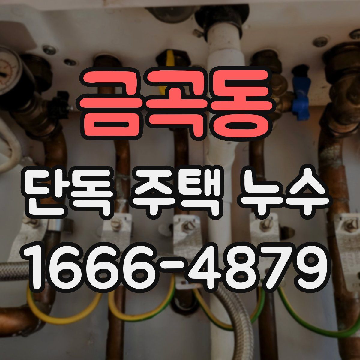 금곡동 단독 주택 누수