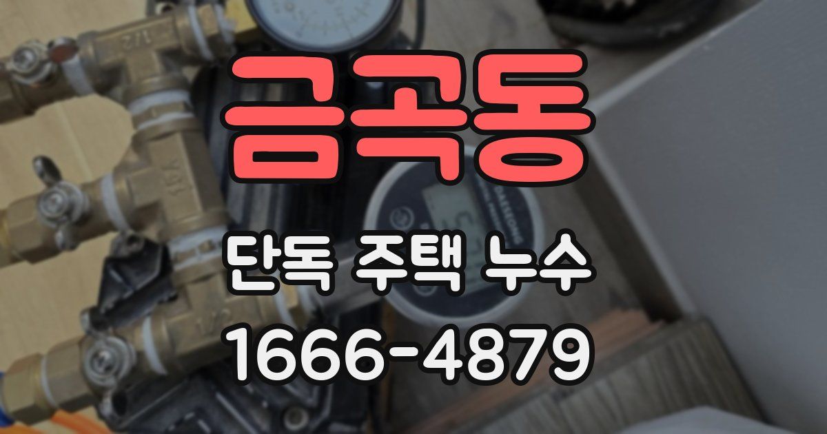 금곡동 단독 주택 누수